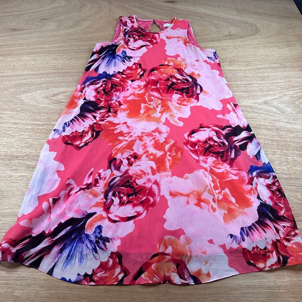 Calvin Klein Pink Floral Chiffon Sleeveless Shift Dress Women Small